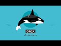 La Orca | Videos educativos para niños
