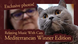 Relaxing Music with Cats | Mediterranean winner show edition