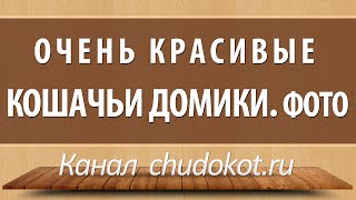 Очень красивые кошачьи домики. Фото. Очень красивые кошачьи домики. Фото.