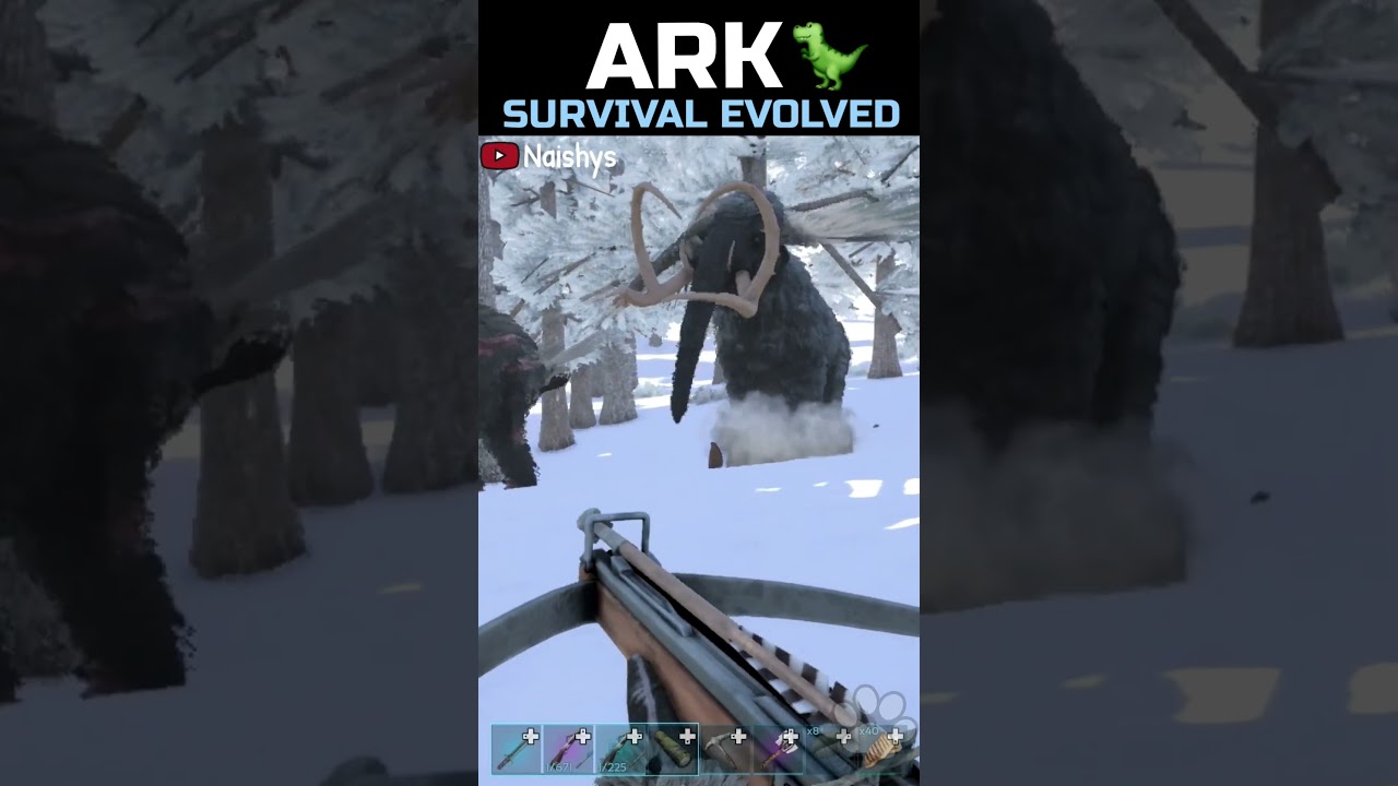 Nuestra primera caza en Tapehara! 