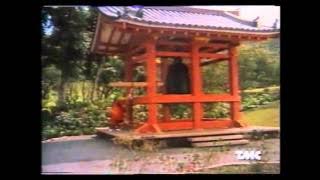 L'Uomo Ragno Sfida il Drago 4/7