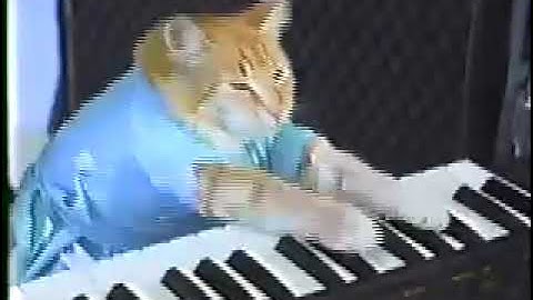 10 Hour Keyboard Cat! FFmpeg Linux Bash Shell Scripting