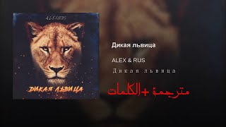 (alex & rus - дикая львица مقطع من اغنية )اغنية روسية  ستاخذك لعالم اخر  مترجمة +الكلمات