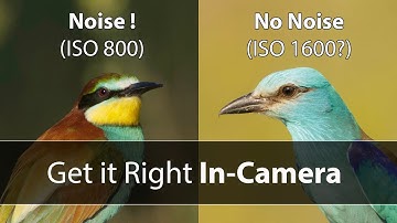 How to REDUCE NOISE in your Wildlife Photos - WITHOUT Post-Processing OR Noise Reduction Software!