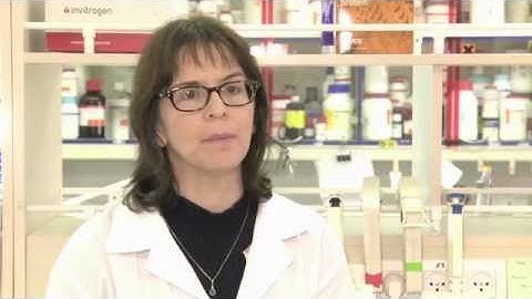 IBlot® 7-Minute Blotting System - Meet the Inventor Series