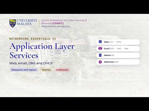 Application Layer Services: Web, Email, DNS, DHCP and File Sharing | Networking Essentials