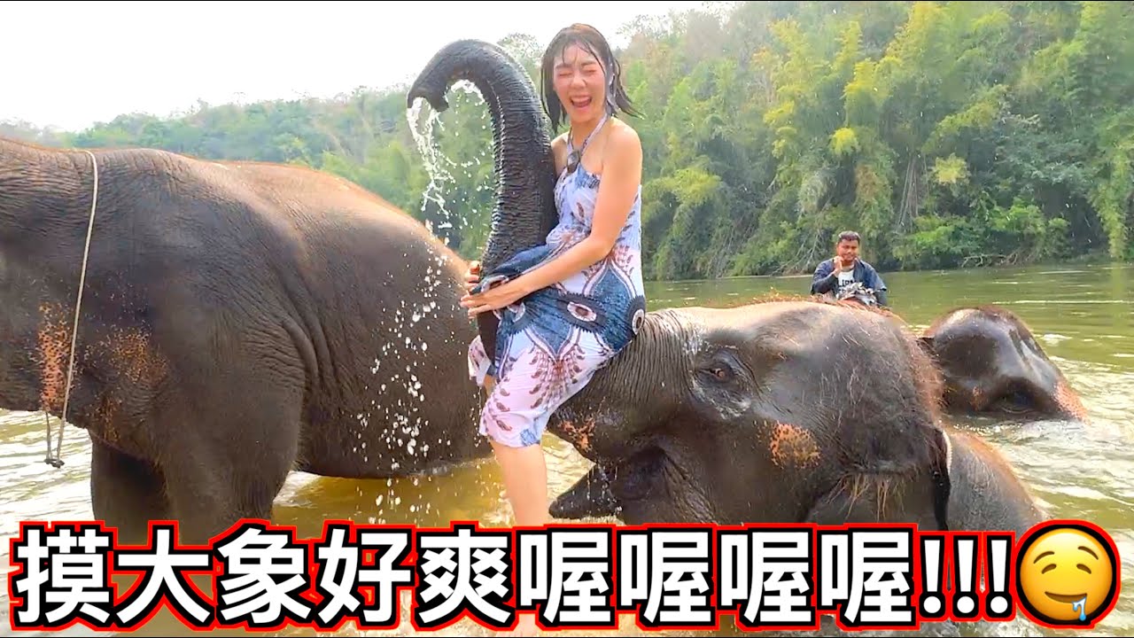 【賤葆日常】說個秘密...阿雞最愛摸大象🐘💦
