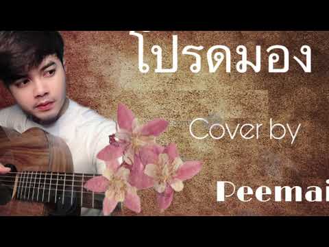 โปรดมอง - วงฟีนิกซ์  [Cover by peemai]