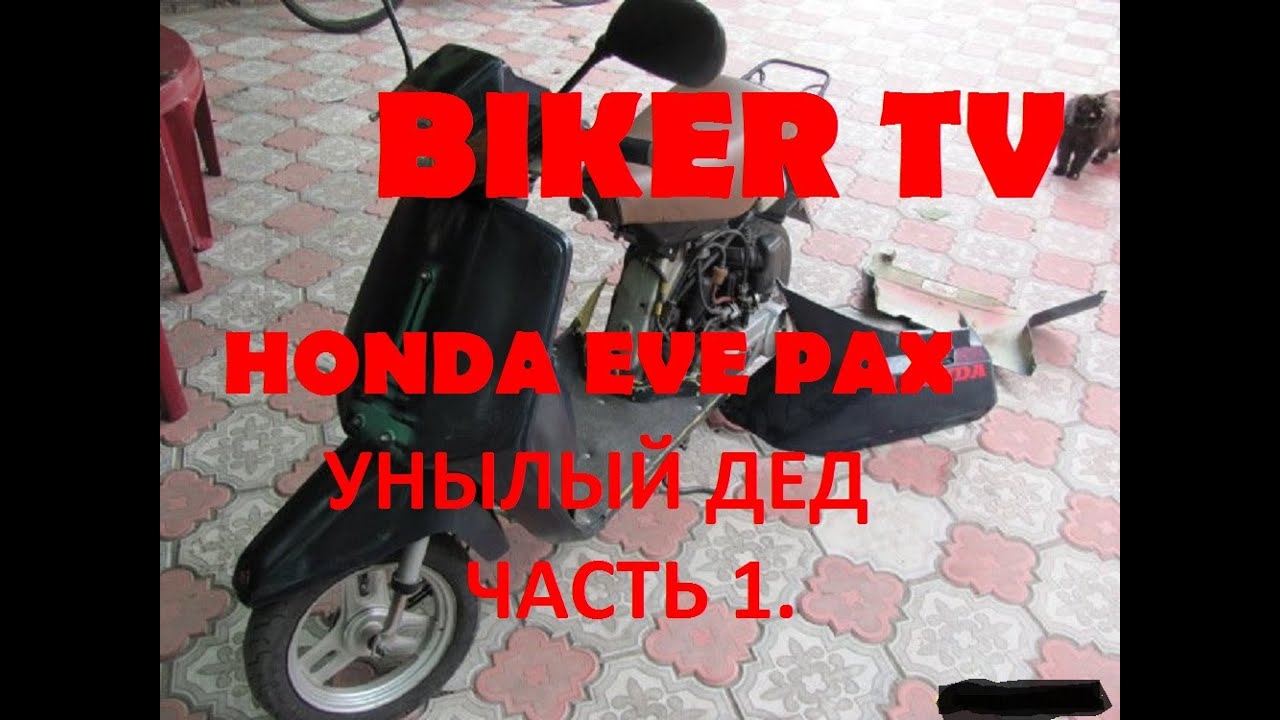 Скутер HONDA EVE PAX, хонда еве пакс, ПОКУПКА за 3 тысячи рублей BIKER TV, Ачинск 2016 Скутер HONDA EVE PAX, хонда еве пакс, ПОКУПКА за 3 тысячи рублей BIKER TV, Ачинск 2016