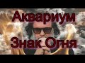 Аквариум - Знак Огня (Санкт-Петербург 20 мая 2021)