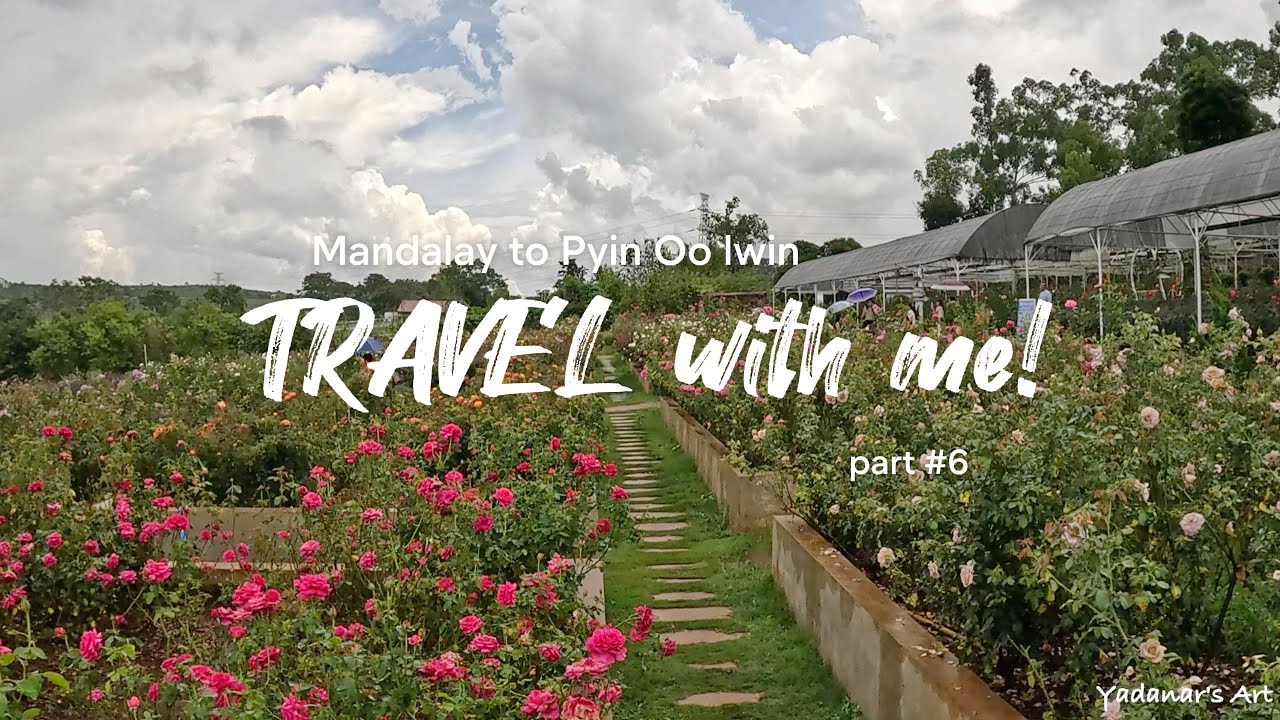 Part 6: Mandalay to Pyin Oo Lwin | Rose Garden After Rain 🌹✨