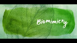 MCN 201 SUSTAINABLE ENGINEERING-MODULE : 3 LEC : 4  Biomimicry & Circular economy