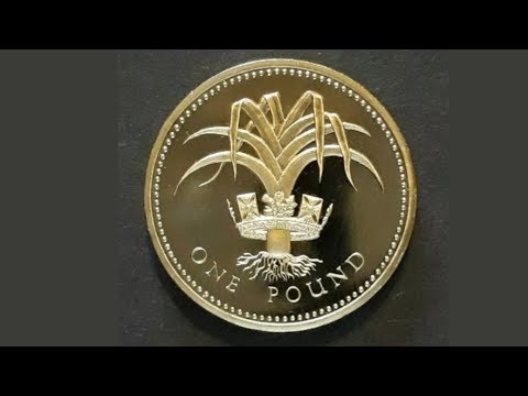 UK 1985 £1 ONE POUND Coin VALUE - Queen Elizabeth II