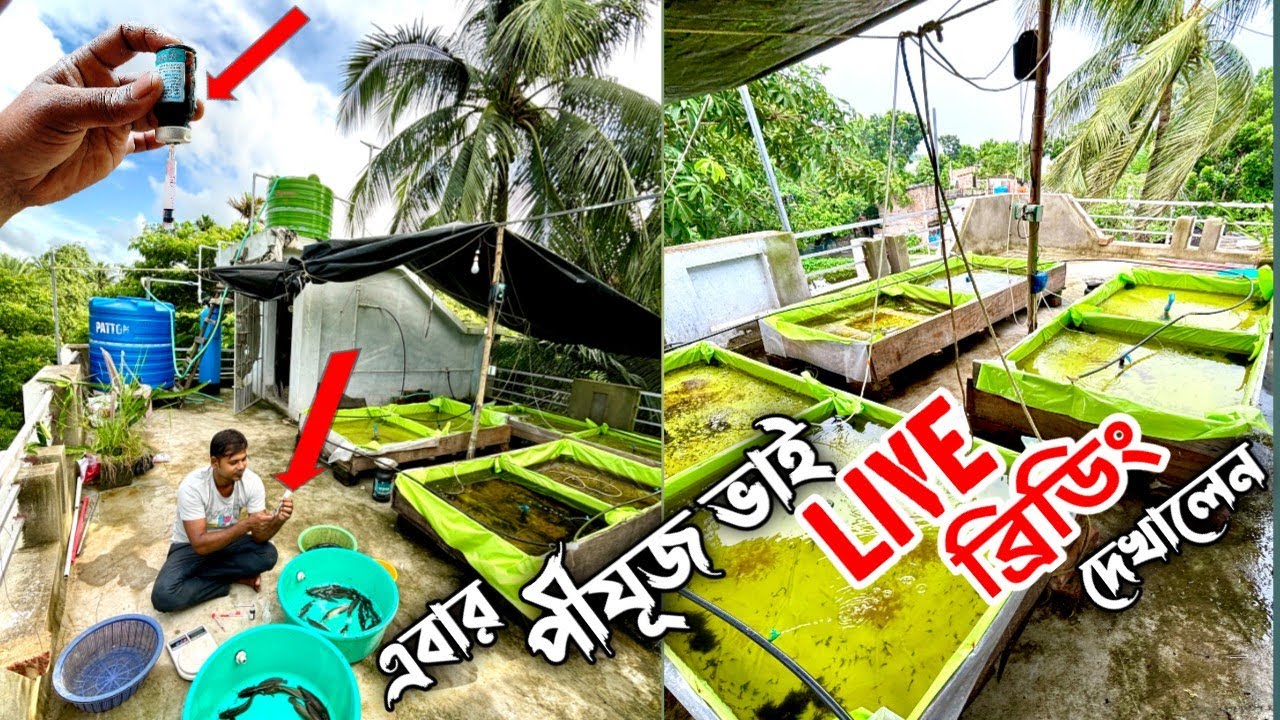 নিজেদের চারাটুকু নিজে তৈরি করে নিই --শুধু এটাই চাই 