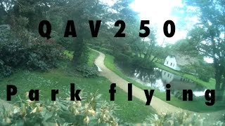 QAV250 - Park Flying