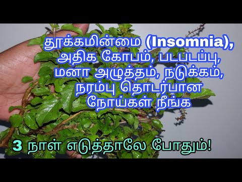 தூக்கமின்மை, மன அழுத்தம், படபடப்பு, நரம்புத்தளர்ச்சி, அதிக கோபம் குணமாக | How to cure insomnia