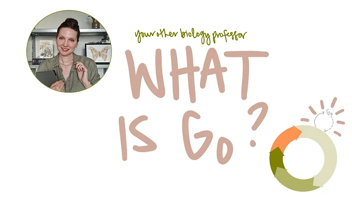 In or Out (of the Cell Cycle)? What is G0?