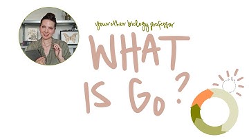 In or Out (of the Cell Cycle)? What is G0?