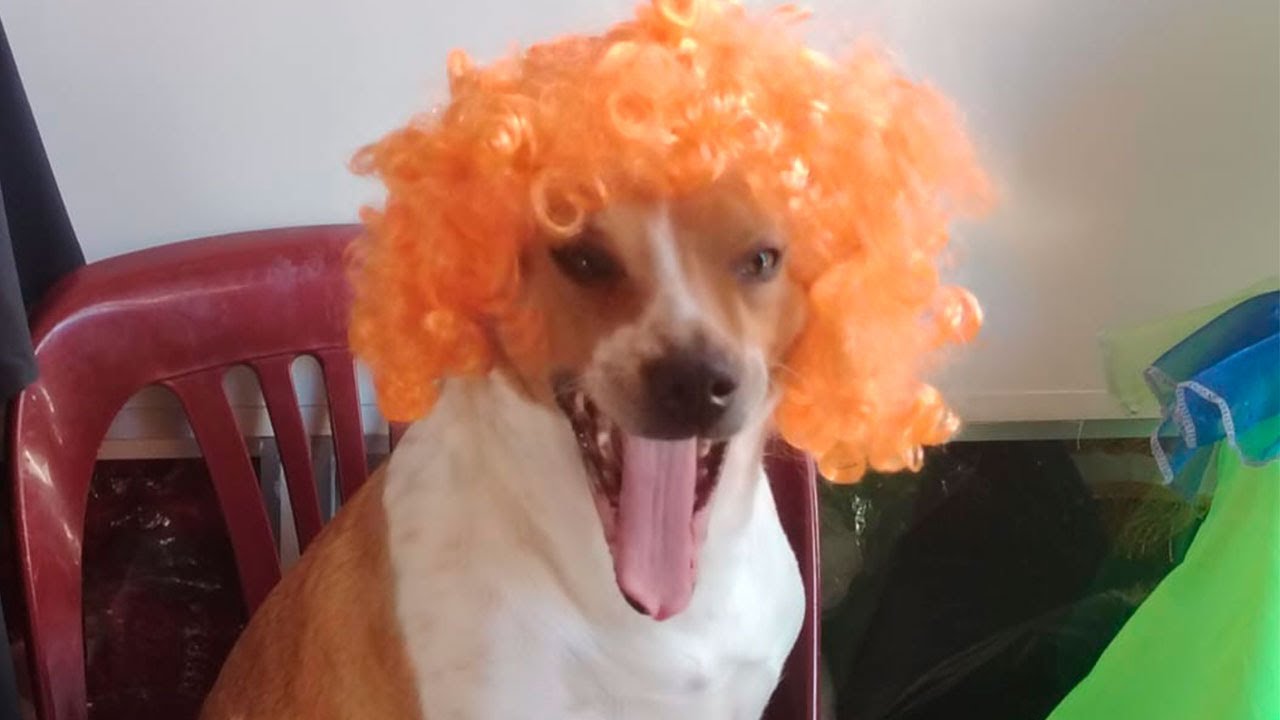 1 vs 1 Contra el Sucesor de Topson