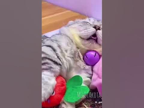Каты - YouTube