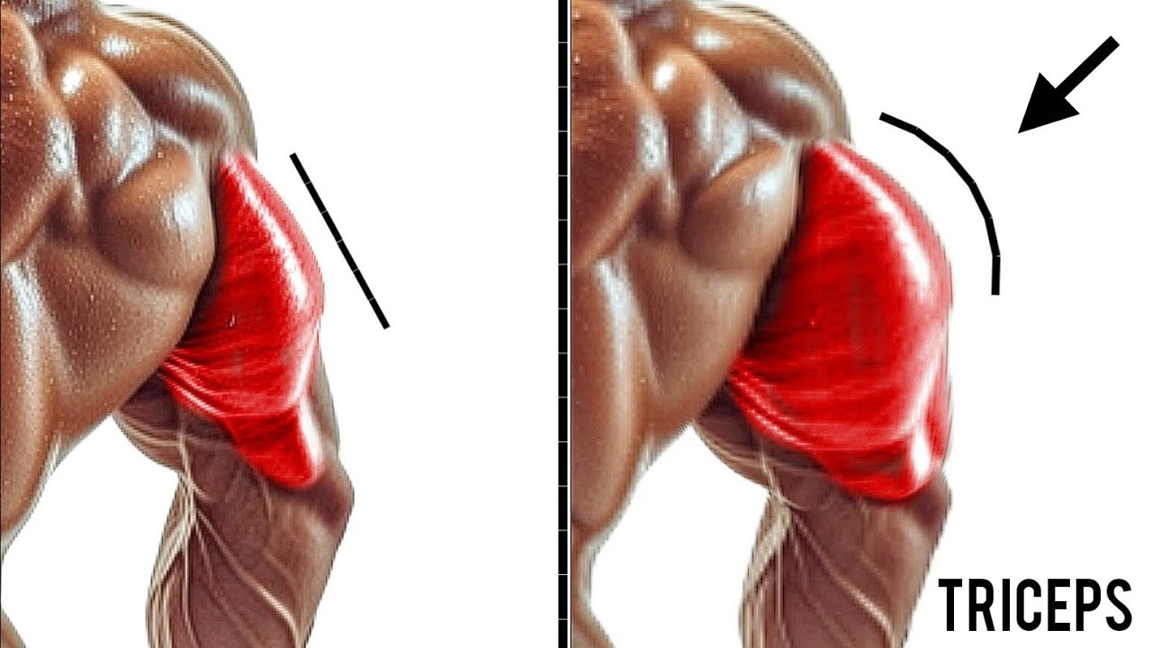 7 Triceps Workouts That Actually Grow Your Arms ( Tricep Exercises)