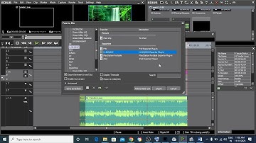 How to Export Videos in Edius
