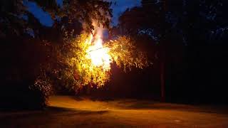 Tree Fall on Power Lines - Loud Electrical Boom!