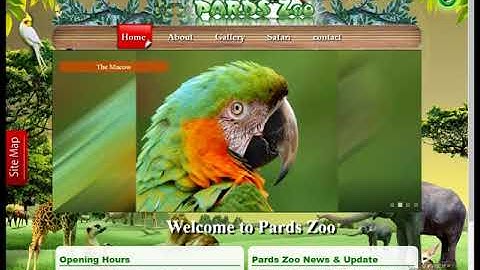 16  HTML and CSS Animated Project in Urdu  - HTML and CSS Animation Project