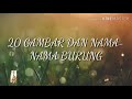 Lovebird Yang Banyak Diminati