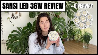 Sansi 36W Grow Light Review Giveaway