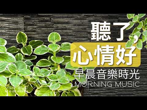 1小時早晨音樂｜🌤️好好生活：從一個美好的早晨開始｜鋼琴輕音樂｜早晨療癒音樂｜放鬆・專注｜中間無廣告｜開啟美好一天早晨鋼琴音樂、工作、學習、瑜珈#morningmusic #pianomusic