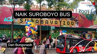 Cara Naik dan Beli Tiket Suroboyo Bus dari Bungurasih ke Kebun Binatang Surabaya. Turun di Joyoboyo screenshot 5