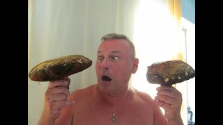 Крым! Грибы монстры после засухи!!! Крым! Грибы монстры после засухи!!!