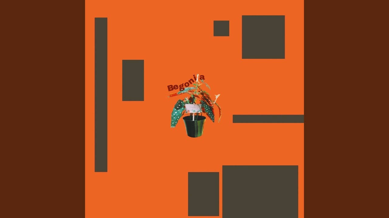 Watch Begonia on YouTube Watch Begonia on YouTube