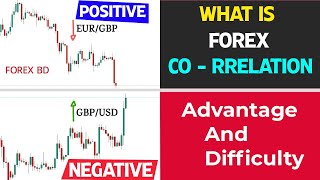  FOREX Currency Correlation Strategy Part -1 | Trading Lose Main Reason |Are you a loser in Forex?
