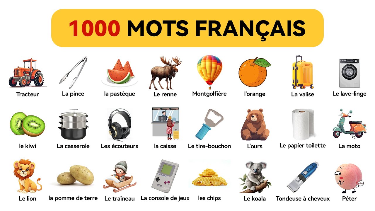 1000 Mots Français (Ensemble) | Mot en français – niveau débutant (A1-B1)