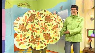 CBeebies Continuity - Tuesday 13th November 2007