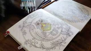 Enchanted Forest Adult Colouring Book Time Lapse