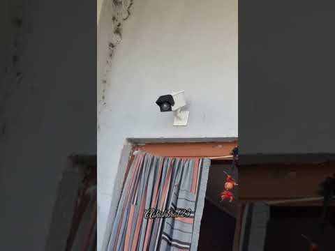 How to make cctv camera with cardboard at home #cctv #camera #diy #cardboard #drawing