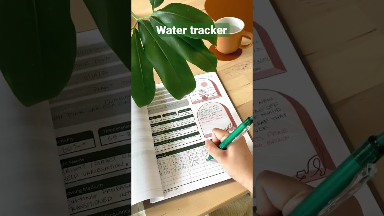 Make a plant journal with me🌱 