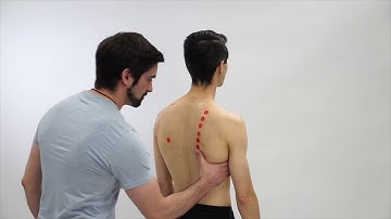 Insufficient Upward Rotation-Elevation Movement Correction | The Movement System