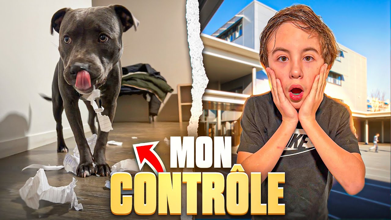 MON CHIEN MANGE MON CONTRÔLE !!!