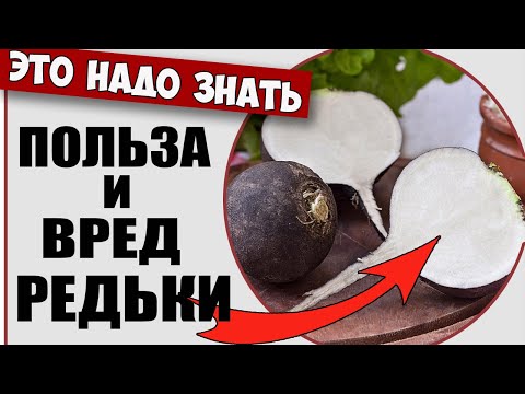 Редька - польза для мужчин и женщин. Это надо Знать!