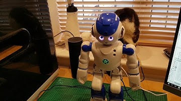 Neuron Ubtech Alpha 2 - how far.. http://alpha2.uk