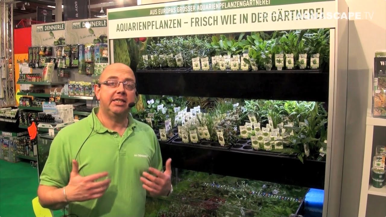 Dennerle plants - Heimtiermesse 2015