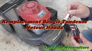 Remplacement Bougie Tondeuse sur Moteur Honda GCV - YouTube
