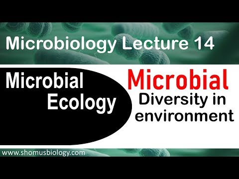 मायक्रोबियल इकोलॉजी आणि विविधता | सूक्ष्मजीवशास्त्र व्याख्यान 14