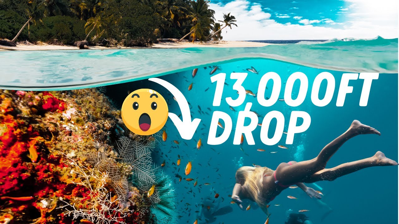 2021 TRAVEL Diving the St. Croix Wall 😮 YouTube