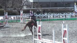 H25 2月ホーストライアル　ビギナー　馬場・余力審査　3年　初田理奈　桜香