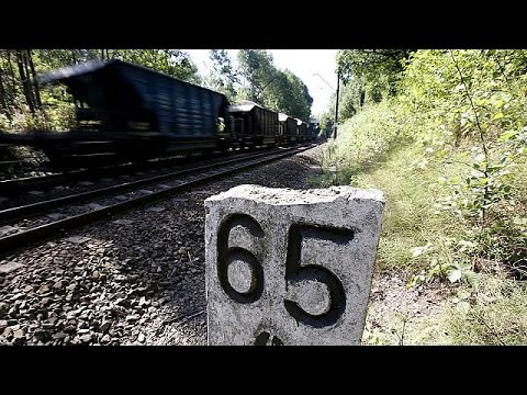 Hazine avcıları Polonya'da Nazi trenini arıyor